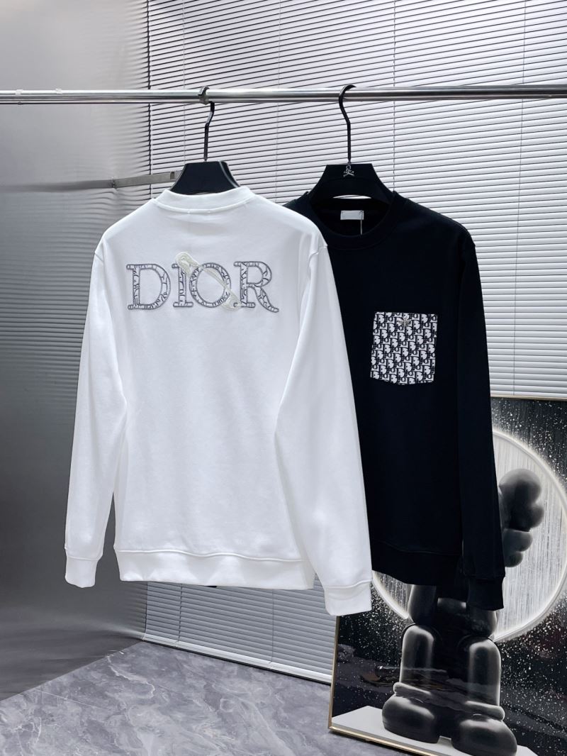 Christian Dior Hoodies